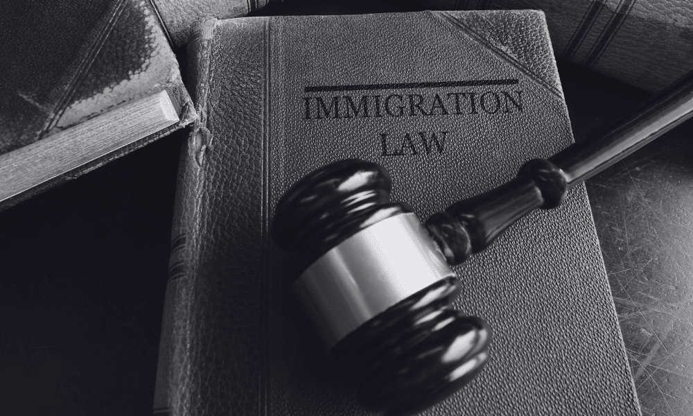 Baltimore Guide to Handling Deportation Proceedings Effectively